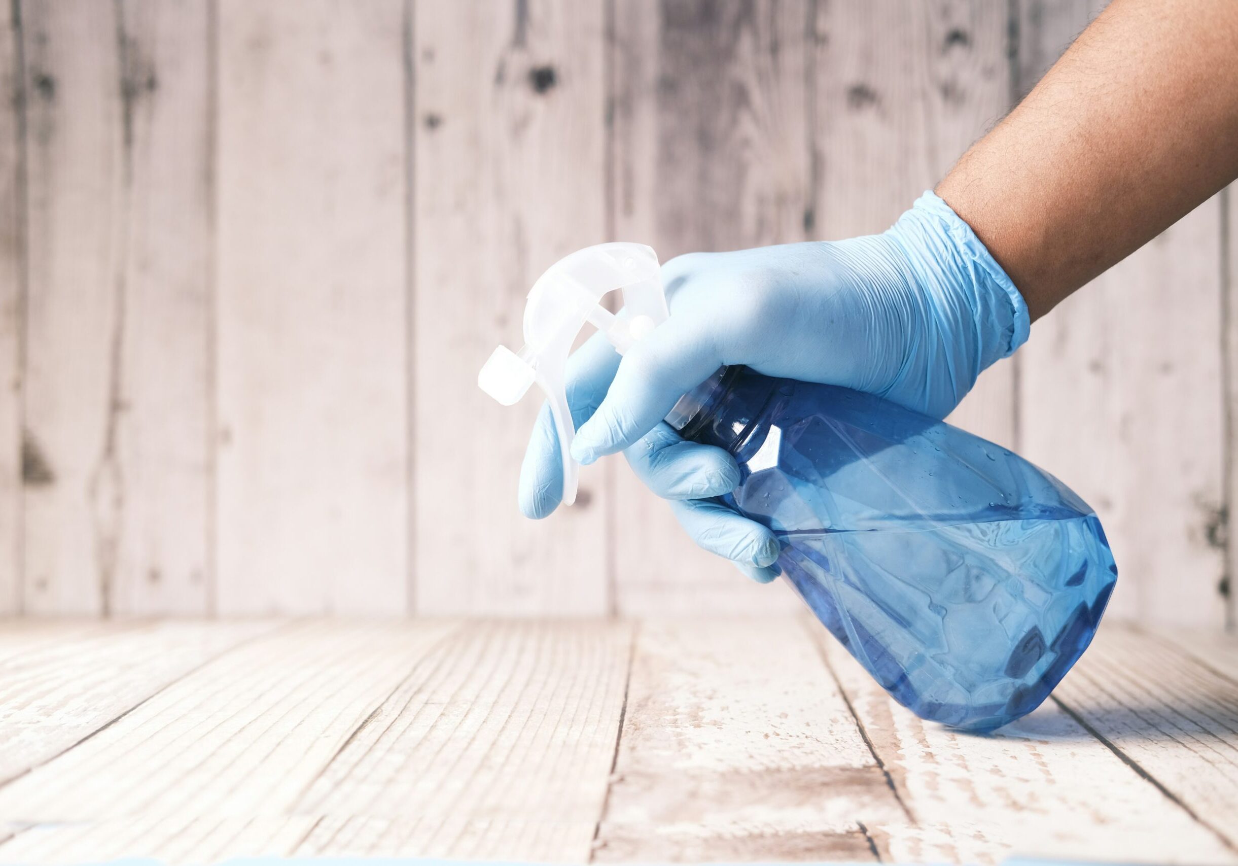 cleaning_steamboat