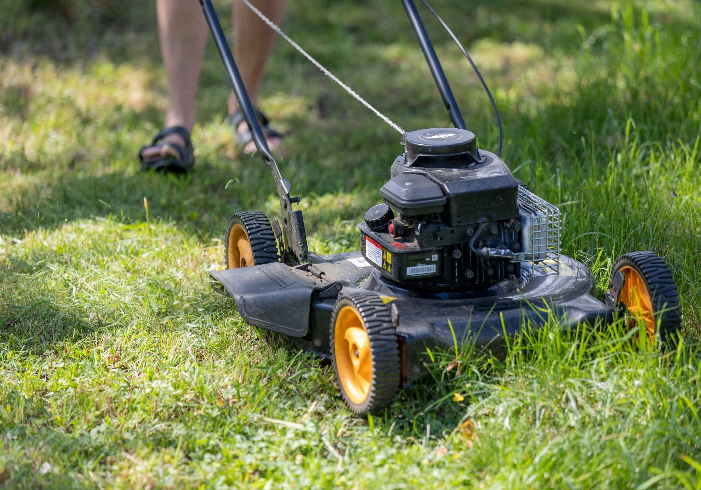 lawn_steamboat